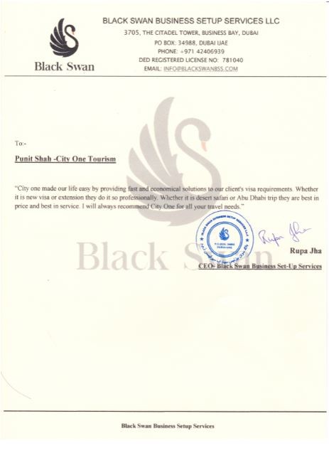 Black Swan Business Setup Services LLC